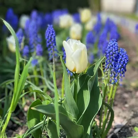 House On The River Дом отдыха