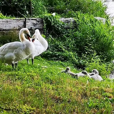 House On The River Дом отдыха Вердер
