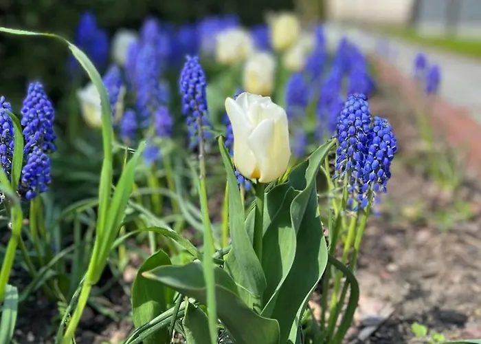 House On The River Hébergement de vacances
